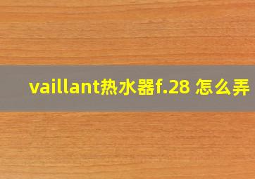 vaillant热水器f.28 怎么弄